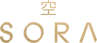 Sora logo